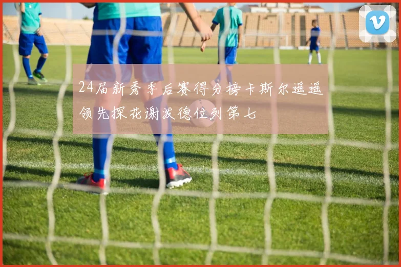 24届新秀季后赛得分榜卡斯尔遥遥领先探花谢泼德位列第七